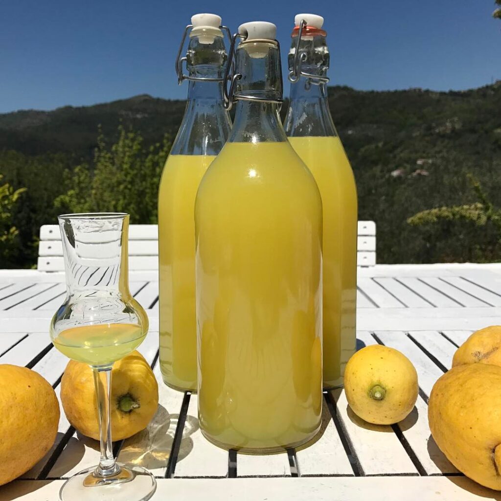 limoncello recept