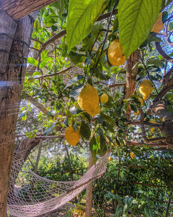 lemon tour amalfikust minori